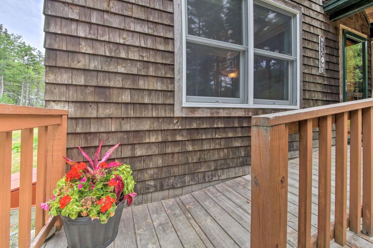 Hidden Gem Cottage Near Blue Hill Peninsula Brooklin Luaran gambar